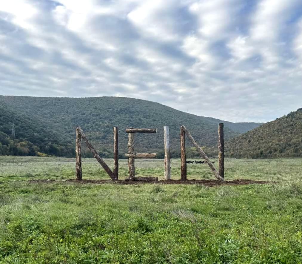 Nein sculpture made of logs in Istria, Croatia